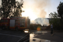  بالصور: حريق كبير في الأحراش بالقرب من حي ابو كبير شرق يافا